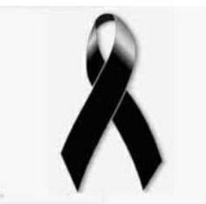 Meet your Posher, Teresa